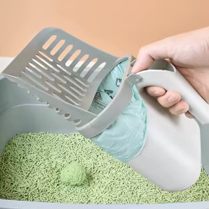 بیچله خاک لئو