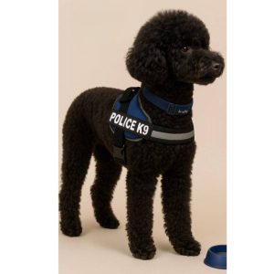 قلاده police k9